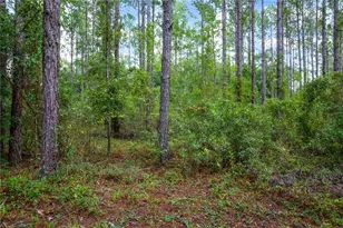 243 SW Reigel Ct, Lake City, FL 32024 - Photo 10