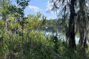 16928 NE 120th Ave, Waldo, FL 32694 - Photo 8