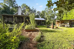 5661 NW 219th Street Rd, Micanopy, FL 32667 - Photo 80