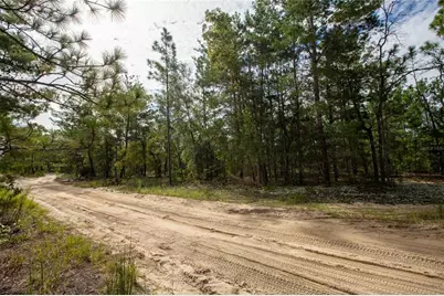 7225 Rutgers Street, Keystone Heights, FL 32656 - Photo 12