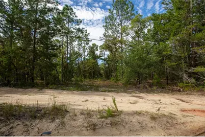 7225 Rutgers Street, Keystone Heights, FL 32656 - Photo 8