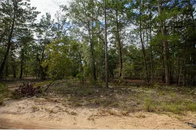 7225 Rutgers Street, Keystone Heights, FL 32656 - Photo 10