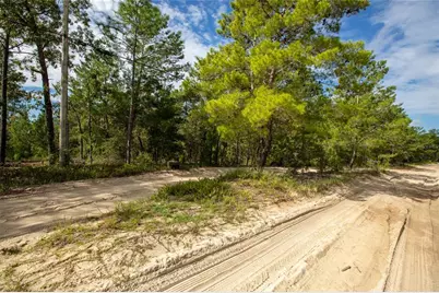 7225 Rutgers Street, Keystone Heights, FL 32656 - Photo 6