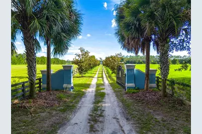 5309 NW 15th Street, Bell, FL 32619 - Photo 42