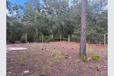 12091 NE 85th Street, Bronson, FL 32621 - Photo 16