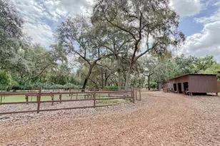 202 Mason Rd, Melrose, FL 32666 - Photo 58
