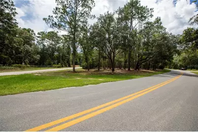 W Hillsborough Avenue, Florahome, FL 32140 - Photo 1