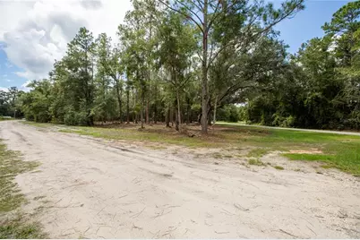 W Hillsborough Avenue, Florahome, FL 32140 - Photo 4
