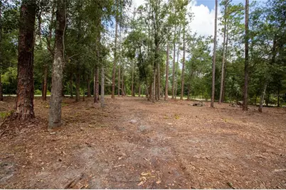 W Hillsborough Avenue, Florahome, FL 32140 - Photo 10