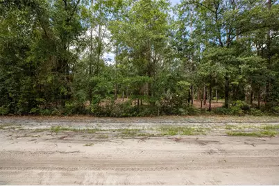 W Hillsborough Avenue, Florahome, FL 32140 - Photo 6