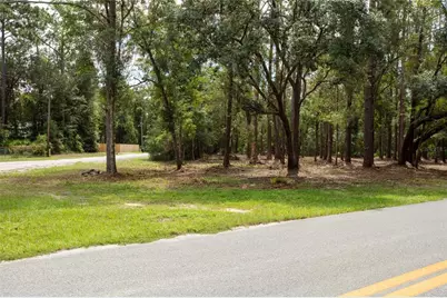 W Hillsborough Avenue, Florahome, FL 32140 - Photo 2