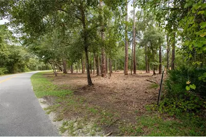 W Hillsborough Avenue, Florahome, FL 32140 - Photo 12