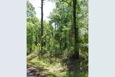 3676 E Walker Street, Inverness, FL 34453 - Photo 2