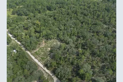 Tbd NE 82nd Place, Bronson, FL 32621 - Photo 12