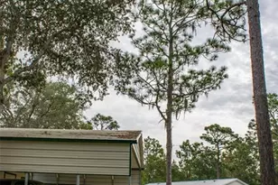 11830 NE 106th Ct, Archer, FL 32618 - Photo 12