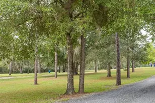 11830 NE 106th Ct, Archer, FL 32618 - Photo 4