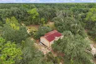 12490 NE 75th St, Bronson, FL 32621 - Photo 52