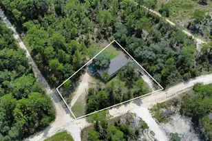 13850 NE 52nd Pl, Williston, FL 32696 - Photo 34
