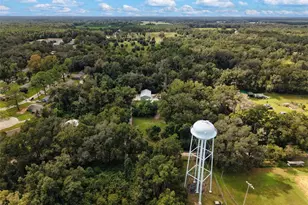 17163 SW 141st Rd, Archer, FL 32618 - Photo 28