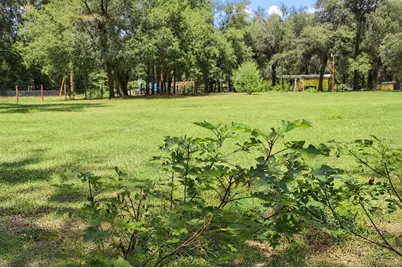 8231 Swan Lake Road, Melrose, FL 32666 - Photo 18