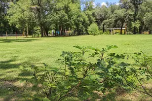 8231 Swan Lake Rd, Melrose, FL 32666 - Photo 18