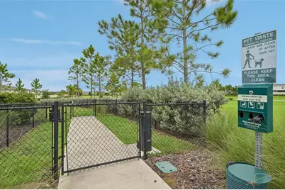 5517 Blue Azure Drive, Wimauma, FL 33598 - Photo 42