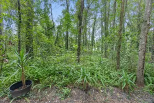 5119 SW 92nd Ct, Gainesville, FL 32608 - Photo 24