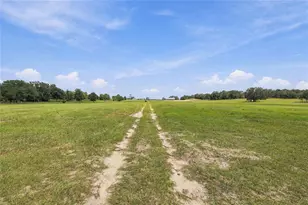 12391 NE 80th Ave, Bronson, FL 32621 - Photo 68