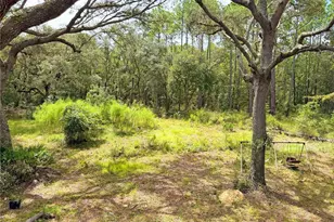 18152 SW 111th St, Brooker, FL 32622 - Photo 36