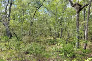 18152 SW 111th St, Brooker, FL 32622 - Photo 54