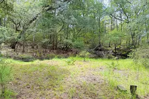 18152 SW 111th St, Brooker, FL 32622 - Photo 44