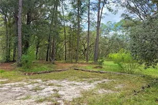 18152 SW 111th St, Brooker, FL 32622 - Photo 52