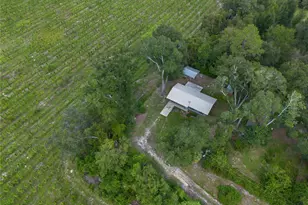 1424 NW 13th Ave, Chiefland, FL 32626 - Photo 40