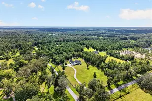 11833 NW 234 St, Alachua, FL 32615 - Photo 4