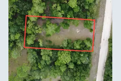 4717 NE 141st Avenue, Williston, FL 32696 - Photo 2