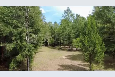 4717 NE 141st Avenue, Williston, FL 32696 - Photo 4