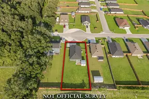 1981 N Roberts Trail, Bell, FL 32619 - Photo 38