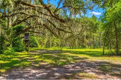 2451 NE 120th Street, Chiefland, FL 32626 - Photo 64