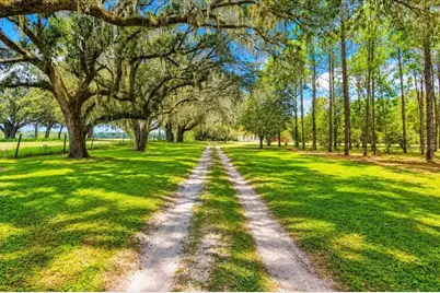 2451 NE 120th Street, Chiefland, FL 32626 - Photo 70
