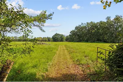 1869 SW 32nd Place, Bell, FL 32619 - Photo 30
