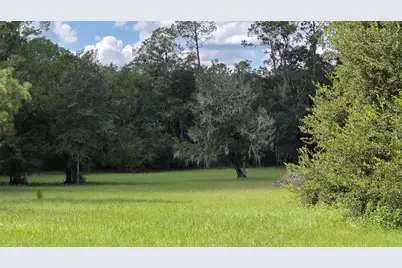 509 N Court Street, Bronson, FL 32621 - Photo 4