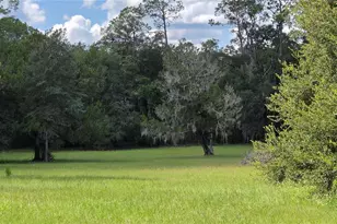 509 N Court St, Bronson, FL 32621 - Photo 4