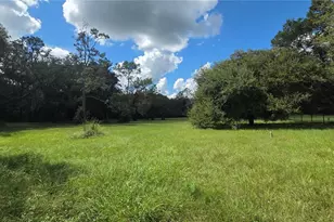509 N Court St, Bronson, FL 32621 - Photo 32