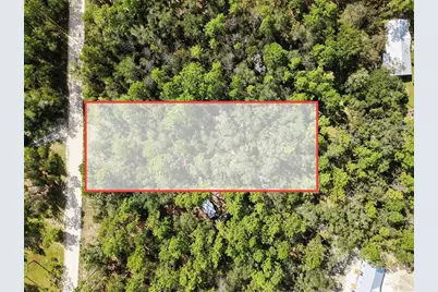6339 NW 17th Court, Bell, FL 32619 - Photo 28
