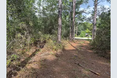 6339 NW 17th Court, Bell, FL 32619 - Photo 24