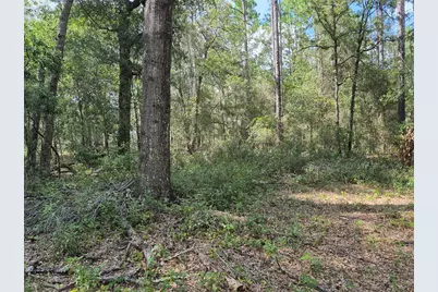 6339 NW 17th Court, Bell, FL 32619 - Photo 18