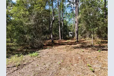 6339 NW 17th Court, Bell, FL 32619 - Photo 8