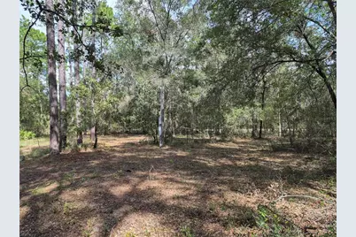 6339 NW 17th Court, Bell, FL 32619 - Photo 14