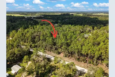 6339 NW 17th Court, Bell, FL 32619 - Photo 26