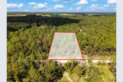 6339 NW 17th Court, Bell, FL 32619 - Photo 2